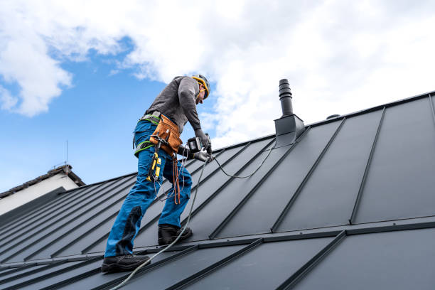 Best Sheet Metal Roofing  in Hartland, WI